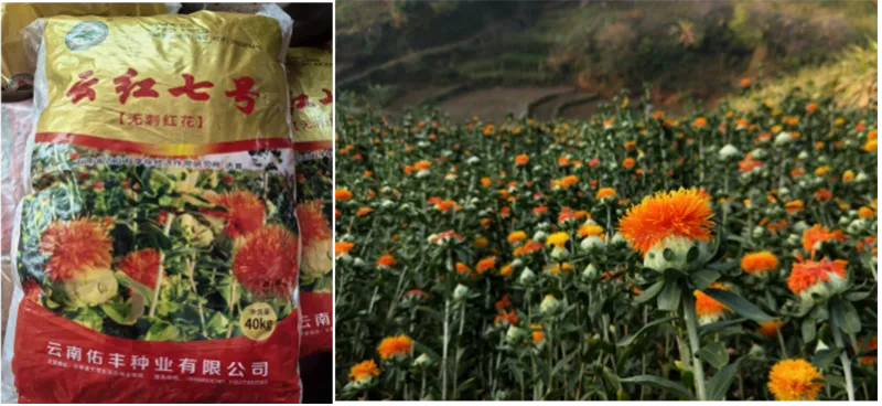 Bwin��Ӯ����(�й�)���޹�˾