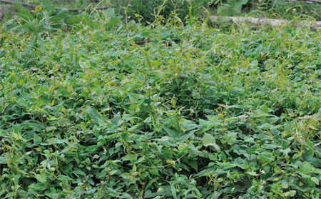 Bwin±ØÓ®¹ú¼Ê(Öйú)ÓÐÏÞ¹«Ë¾