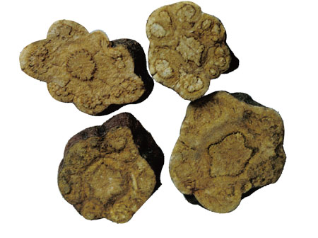 Bwin±ØÓ®¹ú¼Ê(Öйú)ÓÐÏÞ¹«Ë¾