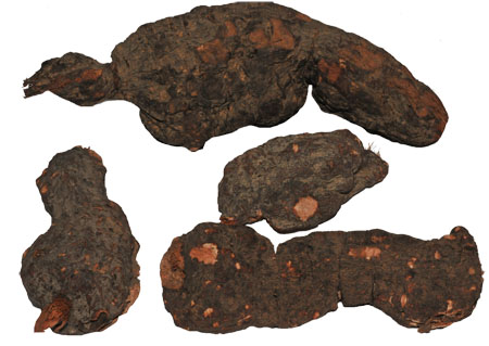 Bwin±ØÓ®¹ú¼Ê(Öйú)ÓÐÏÞ¹«Ë¾