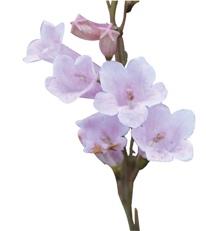 Bwin±ØÓ®¹ú¼Ê(Öйú)ÓÐÏÞ¹«Ë¾