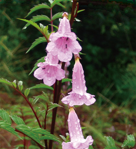 Bwin±ØÓ®¹ú¼Ê(Öйú)ÓÐÏÞ¹«Ë¾